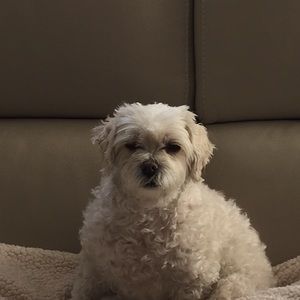 Meet your Posher, Kate